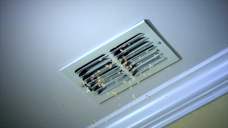 Best Air Duct Cleaning Near Me  in James Island, SC